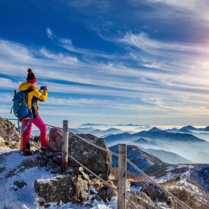Read more about the article Velusce suscipit quis luctus